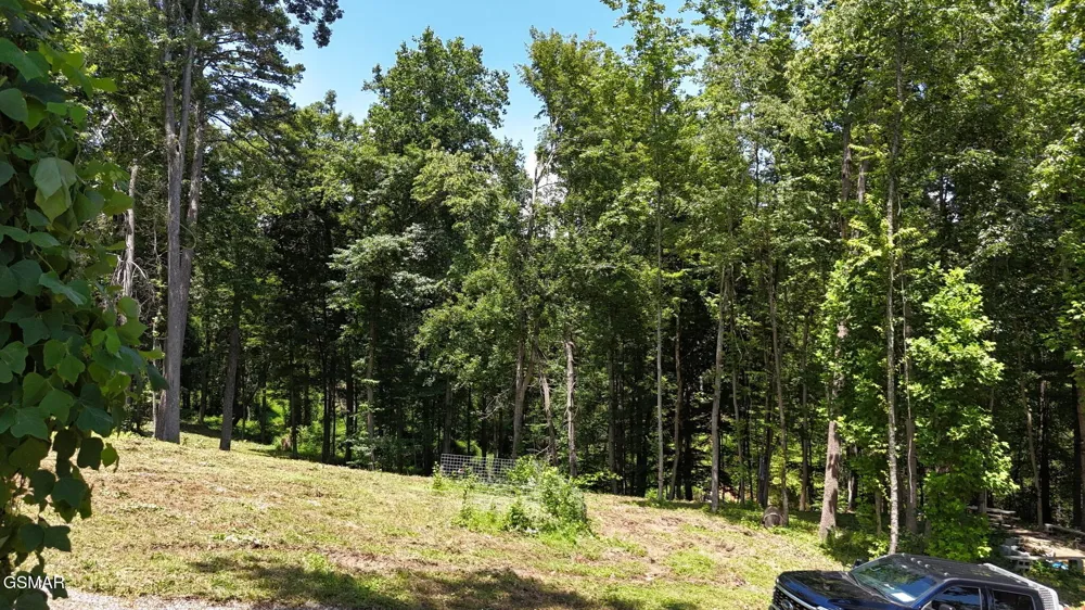 11 Cherokee Drive Dandridge, TN 37725