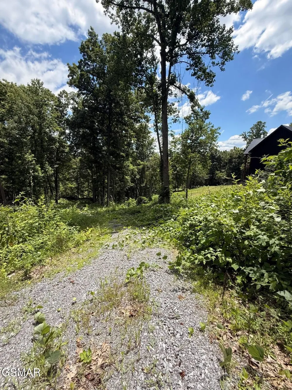 11 Cherokee Drive Dandridge, TN 37725