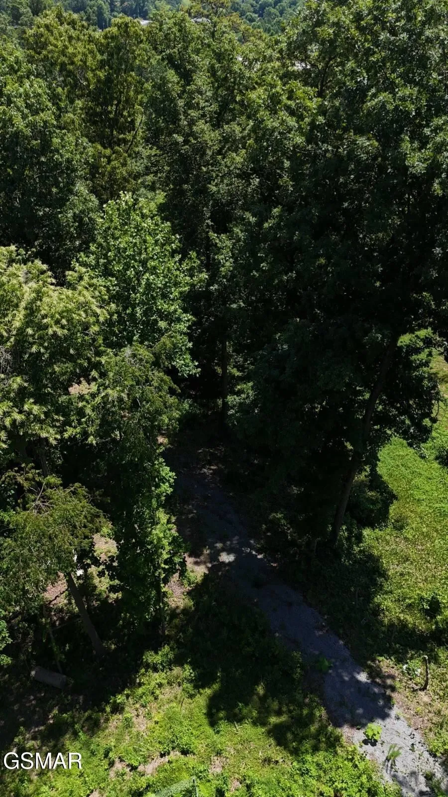 12 Cherokee Drive Dandridge, TN 37725