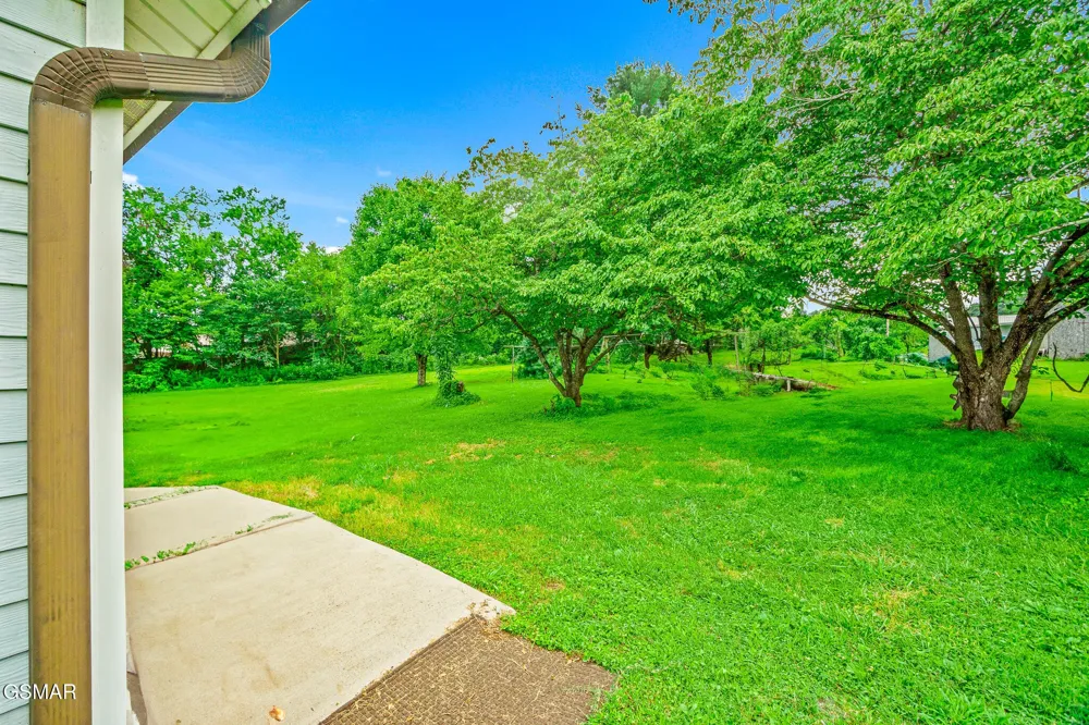 2205 Shipetown Road Mascot, TN 37806