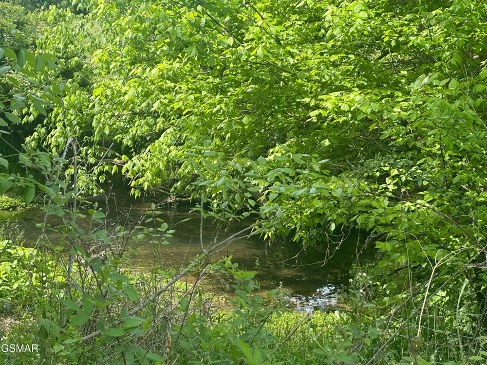 252 Toppy Russell Lane Speedwell, TN 37870