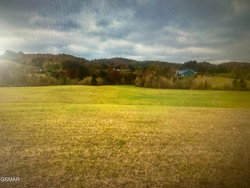 252 Toppy Russell Lane Speedwell, TN 37870