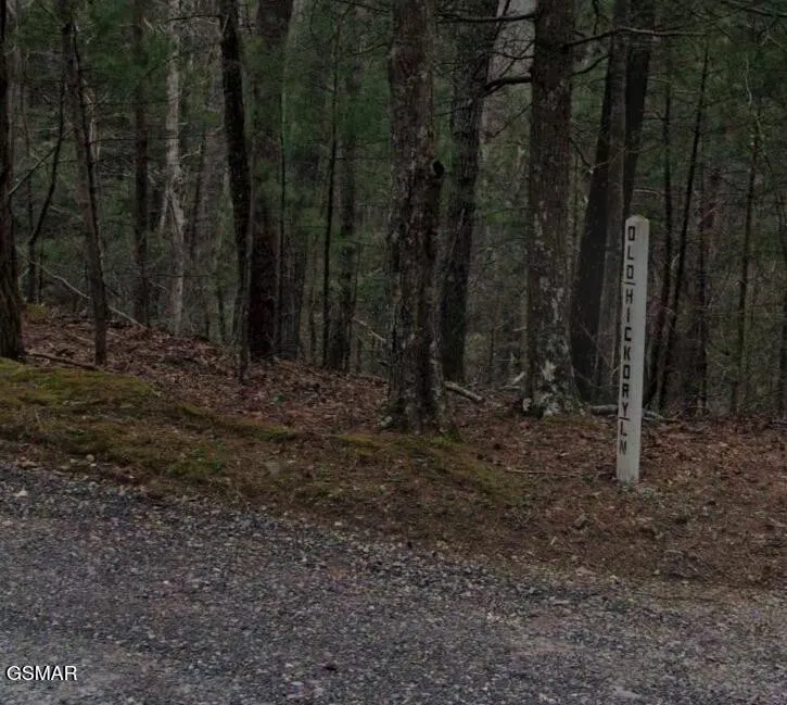 0 Old Hickory Road Tellico Plains, TN 37385