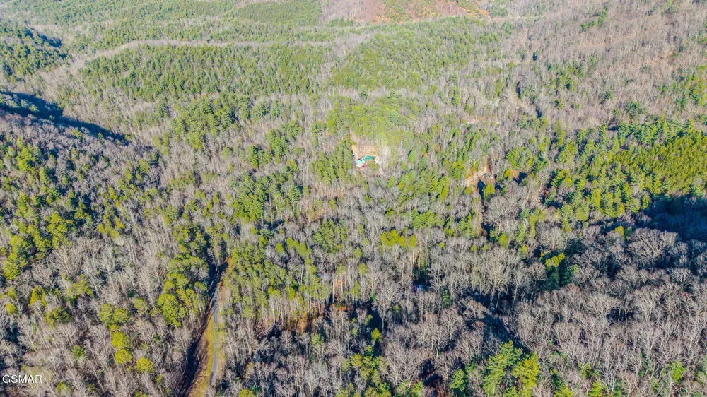 0 Old Hickory Road Tellico Plains, TN 37385