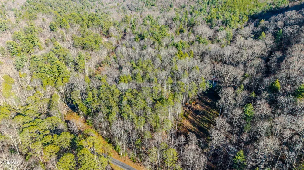 0 Old Hickory Road Tellico Plains, TN 37385