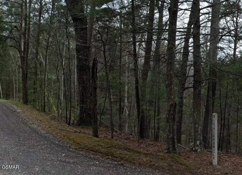 0 Old Hickory Road Tellico Plains, TN 37385