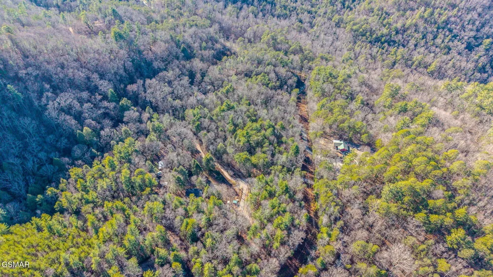 0 Old Hickory Road Tellico Plains, TN 37385