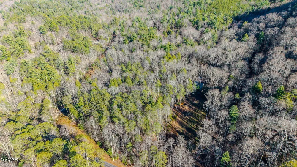 0 Old Hickory Road Tellico Plains, TN 37385