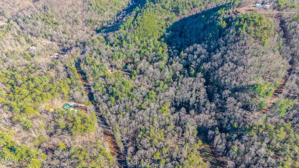 0 Old Hickory Road Tellico Plains, TN 37385