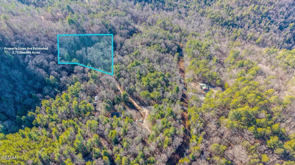 0 Old Hickory Road Tellico Plains, TN 37385