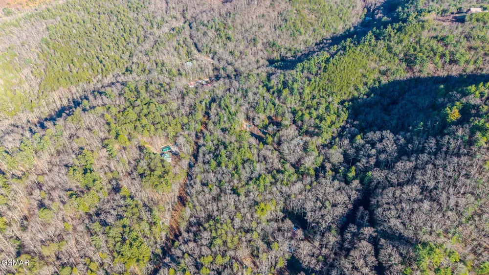 0 Old Hickory Road Tellico Plains, TN 37385