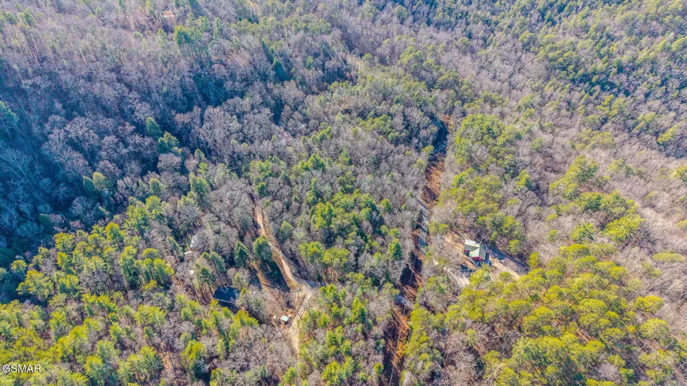 0 Old Hickory Road Tellico Plains, TN 37385