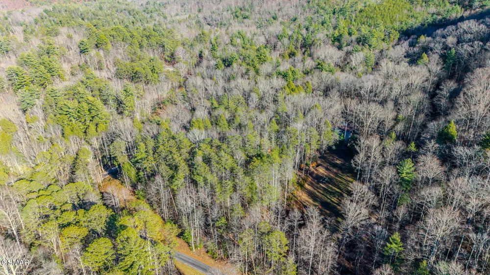 0 Old Hickory Road Tellico Plains, TN 37385