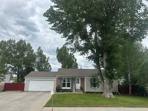 1184 Crest Drive