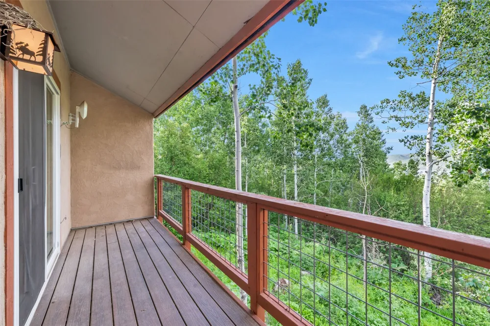 23015 Schussmark Trail #C Oak Creek, CO 80467