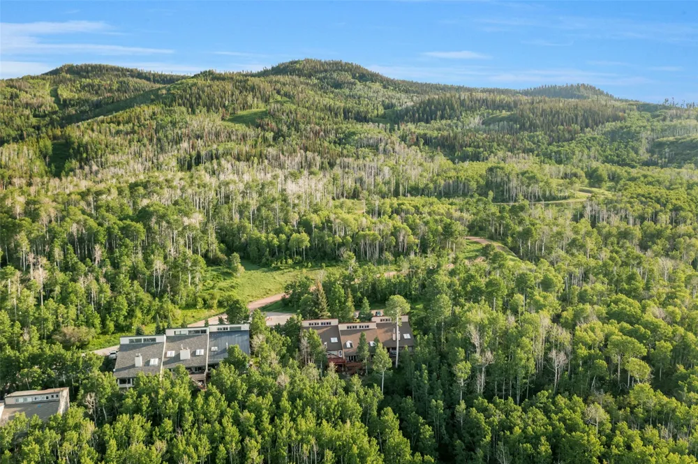23015 Schussmark Trail #C Oak Creek, CO 80467