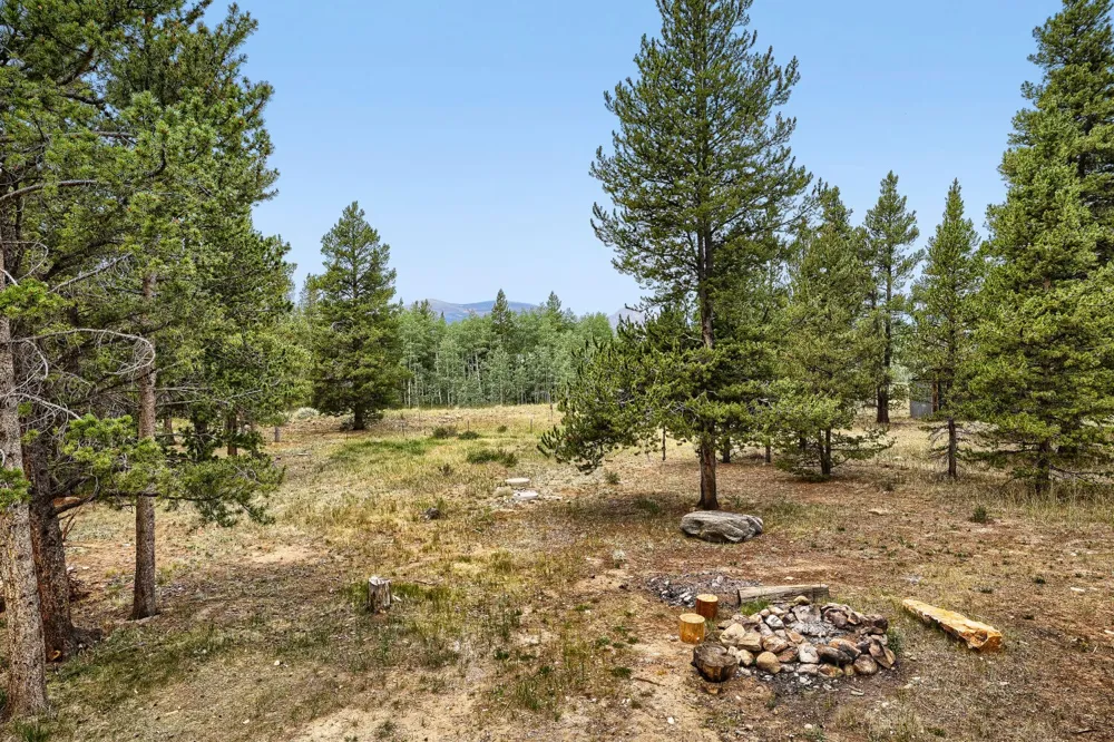 93 Prospect Drive Alma, CO 80420
