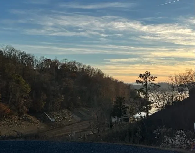 30 Stone Shore Way Dandridge, TN 37725