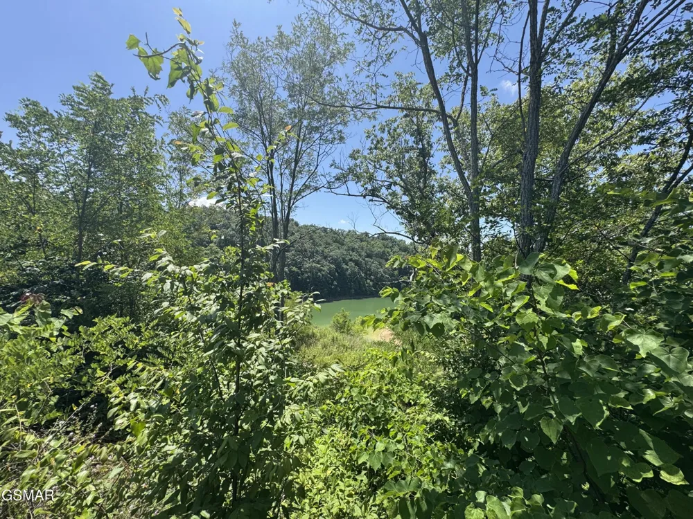 30 Stone Shore Way Dandridge, TN 37725