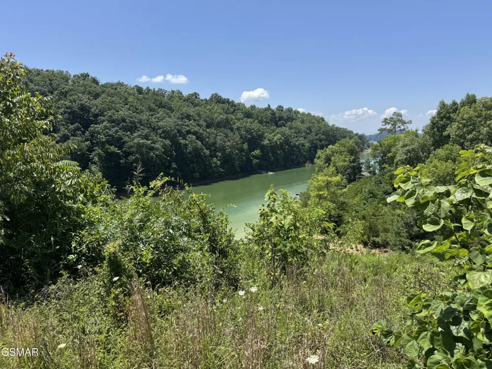 30 Stone Shore Way Dandridge, TN 37725
