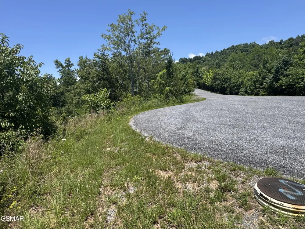 30 Stone Shore Way Dandridge, TN 37725