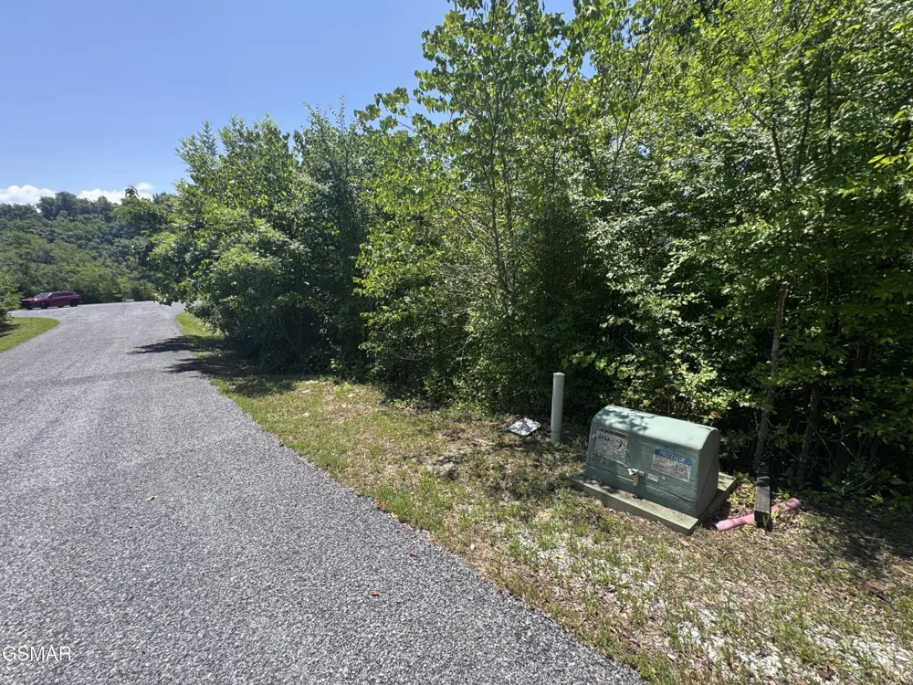 30 Stone Shore Way Dandridge, TN 37725