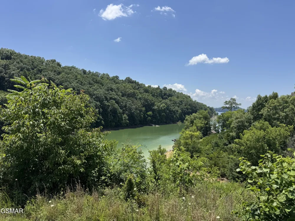 30 Stone Shore Way Dandridge, TN 37725