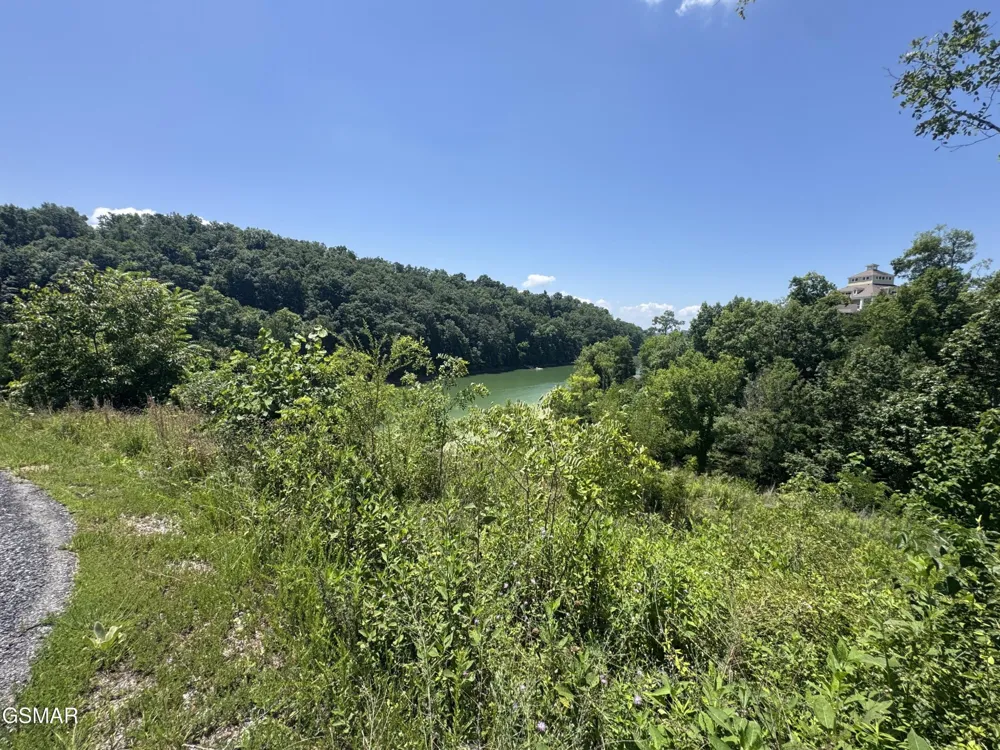 30 Stone Shore Way Dandridge, TN 37725