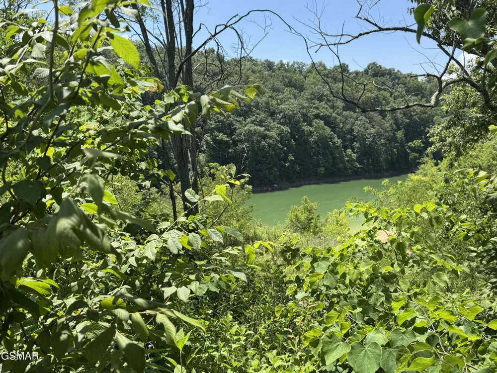 30 Stone Shore Way Dandridge, TN 37725