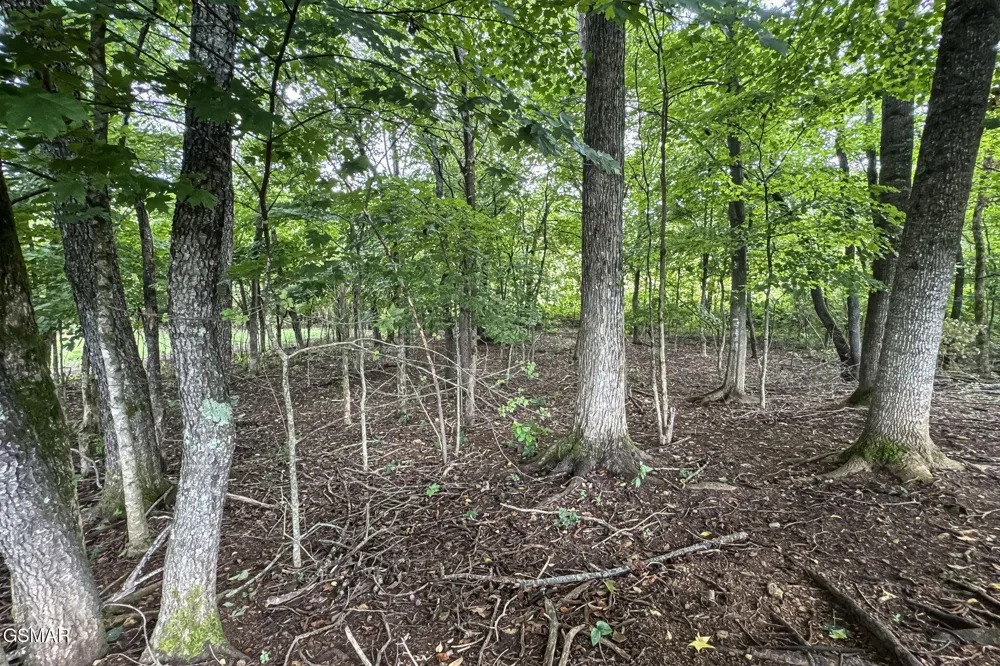3435 Valley View Sevierville, TN 37862