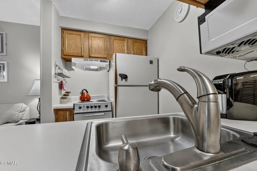 1260 Ski View Drive #4302 Gatlinburg, TN 37738