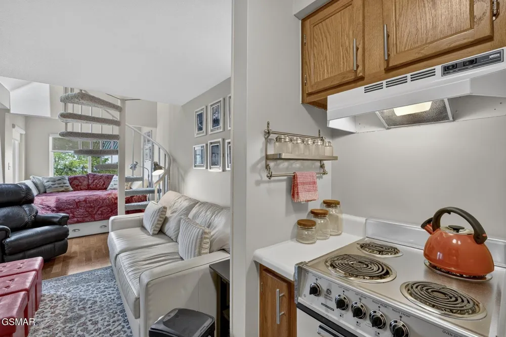 1260 Ski View Drive #4302 Gatlinburg, TN 37738