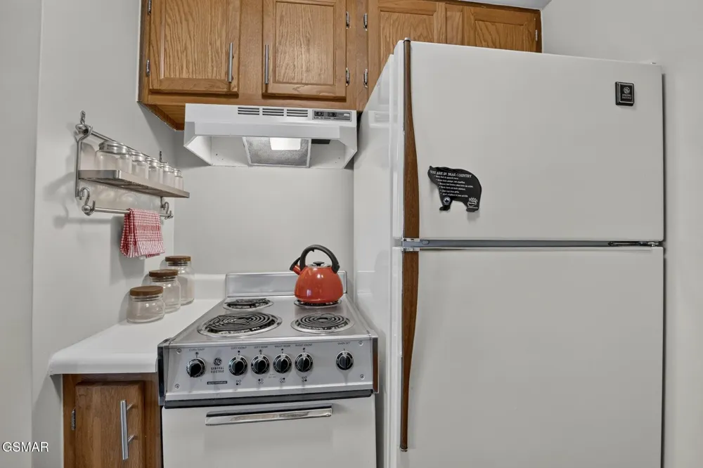1260 Ski View Drive #4302 Gatlinburg, TN 37738