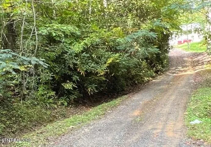 0 0 Branam Hollow Road Off Gatlinburg, TN 37738