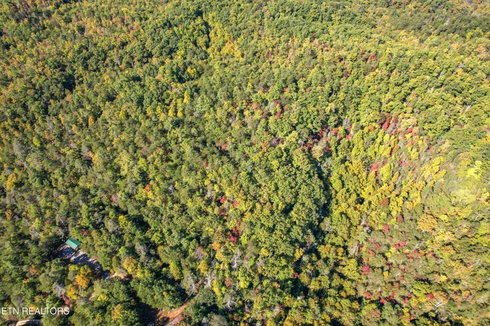 0 0 Branam Hollow Road Off Gatlinburg, TN 37738