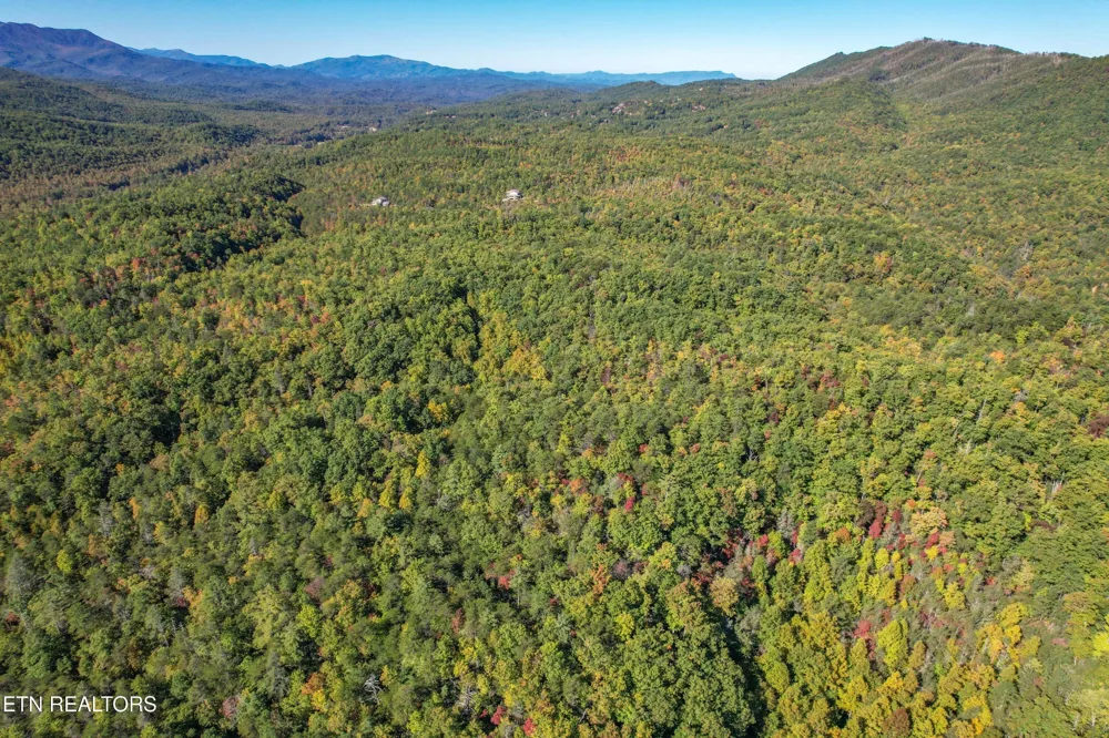 0 0 Branam Hollow Road Off Gatlinburg, TN 37738