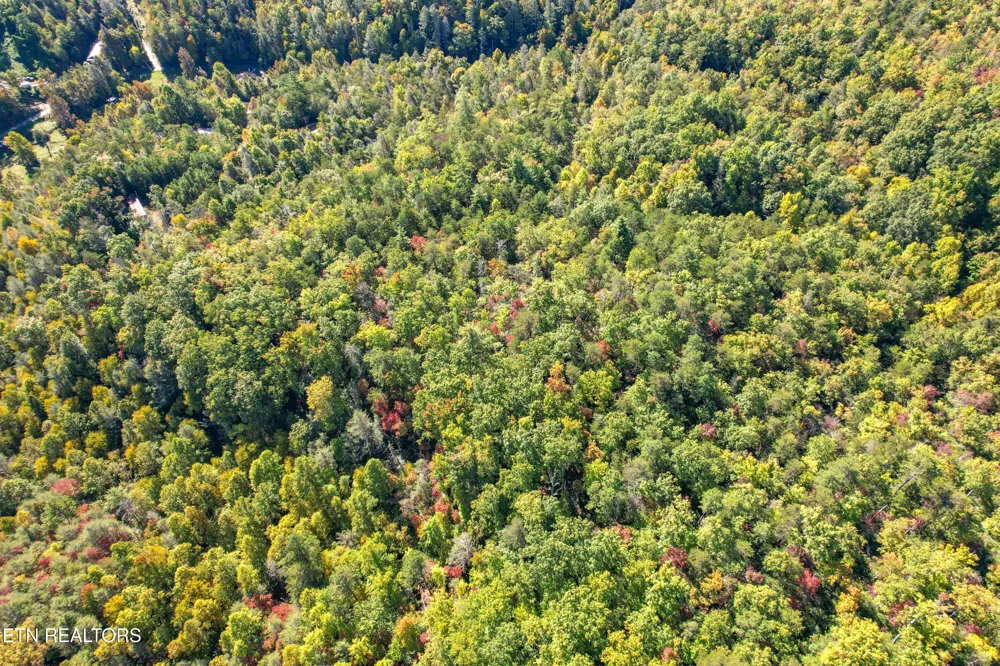 0 0 Branam Hollow Road Off Gatlinburg, TN 37738