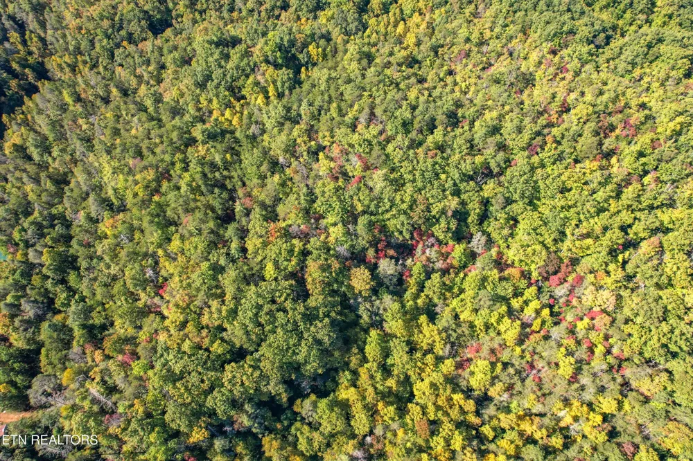 0 0 Branam Hollow Road Off Gatlinburg, TN 37738