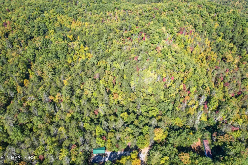 0 0 Branam Hollow Road Off Gatlinburg, TN 37738