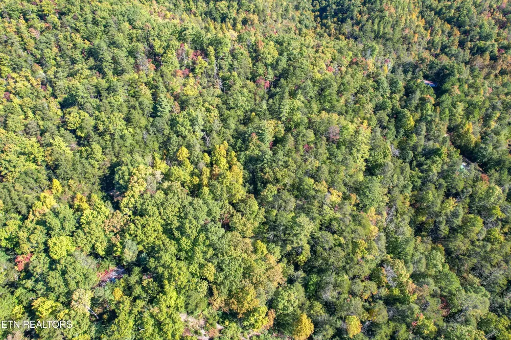 0 0 Branam Hollow Road Off Gatlinburg, TN 37738