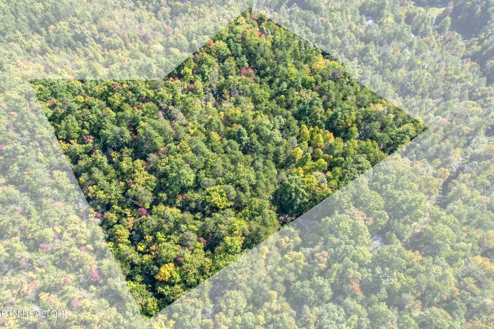 0 0 Branam Hollow Road Off Gatlinburg, TN 37738