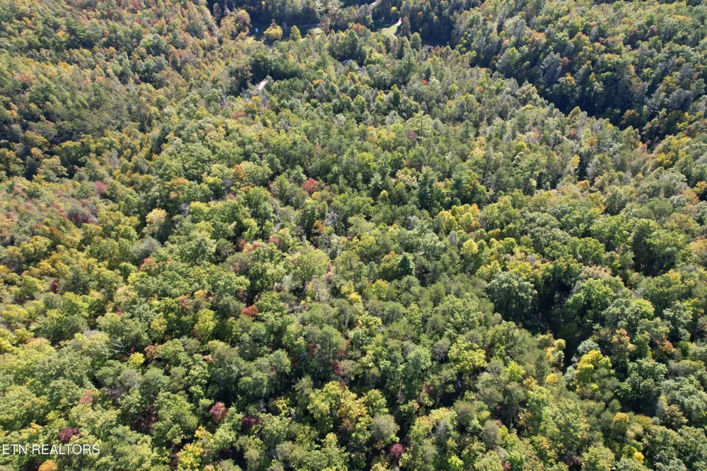 0 0 Branam Hollow Road Off Gatlinburg, TN 37738