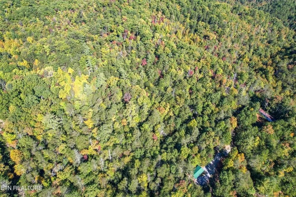0 0 Branam Hollow Road Off Gatlinburg, TN 37738