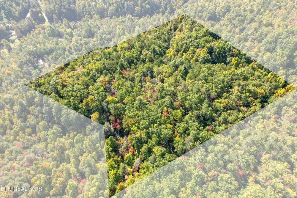 0 0 Branam Hollow Road Off Gatlinburg, TN 37738