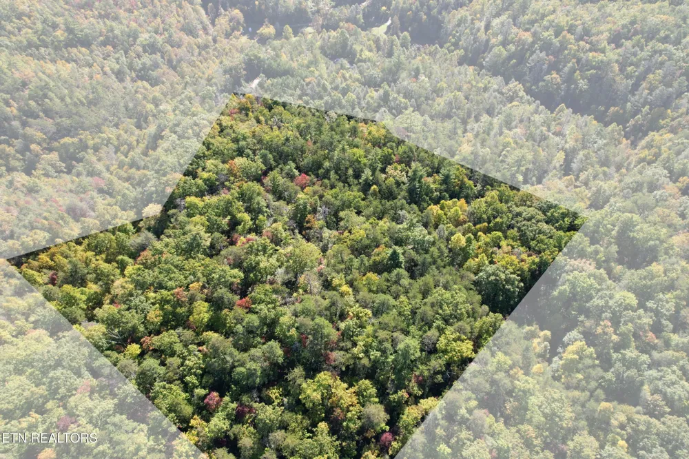 0 0 Branam Hollow Road Off Gatlinburg, TN 37738