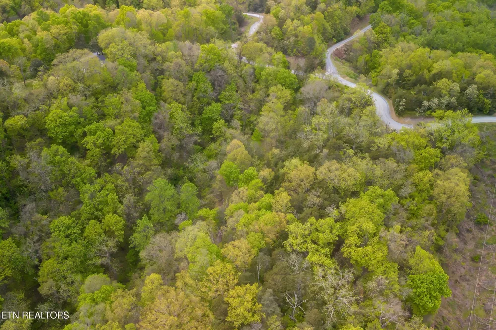 0 Sugar Cove Way Newport, TN 37821