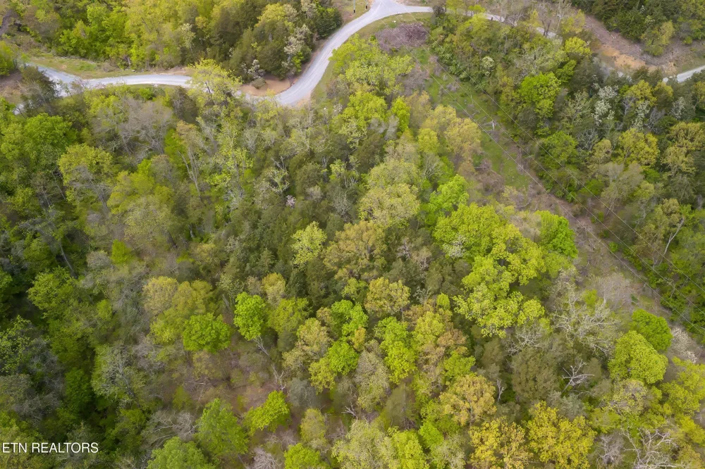 0 Sugar Cove Way Newport, TN 37821