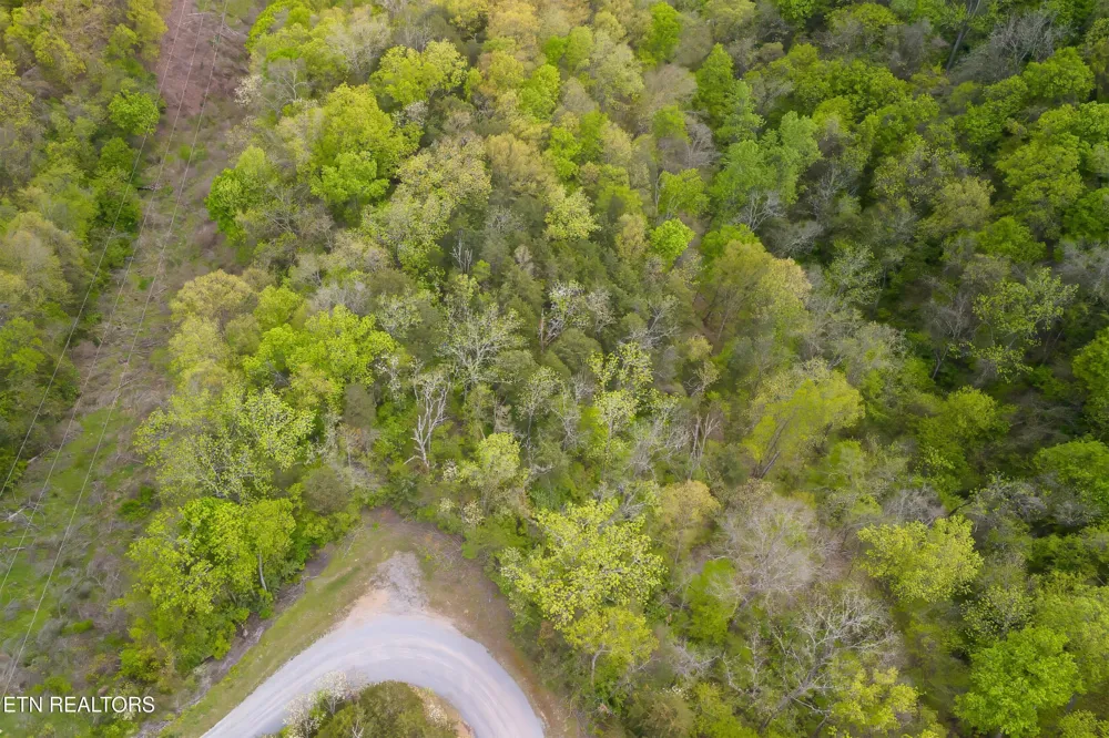 0 Sugar Cove Way Newport, TN 37821