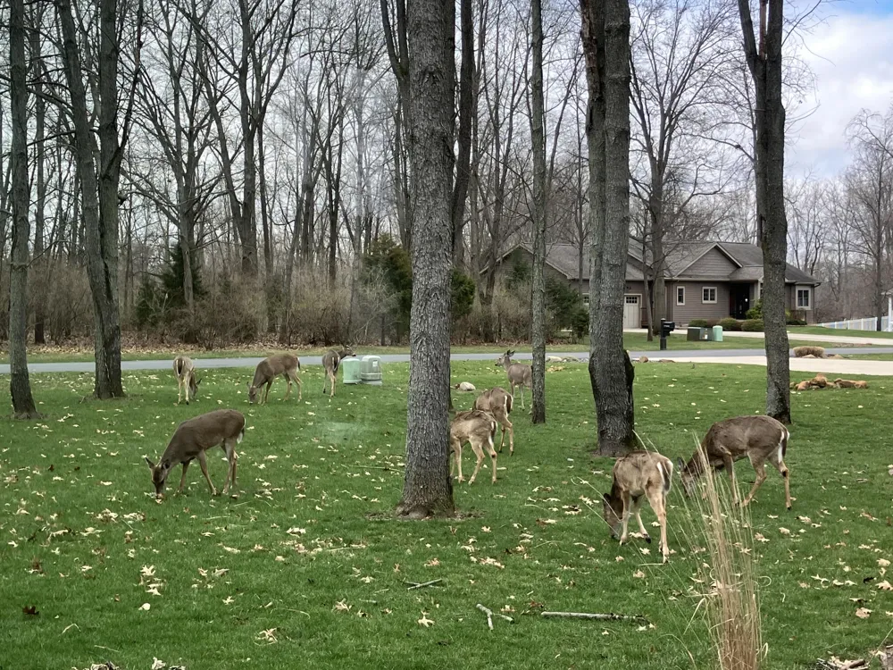651 Woodchuck Drive Coldwater, MI 49036