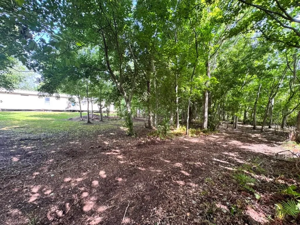 3904 CORK ROAD Plant City, FL 33565